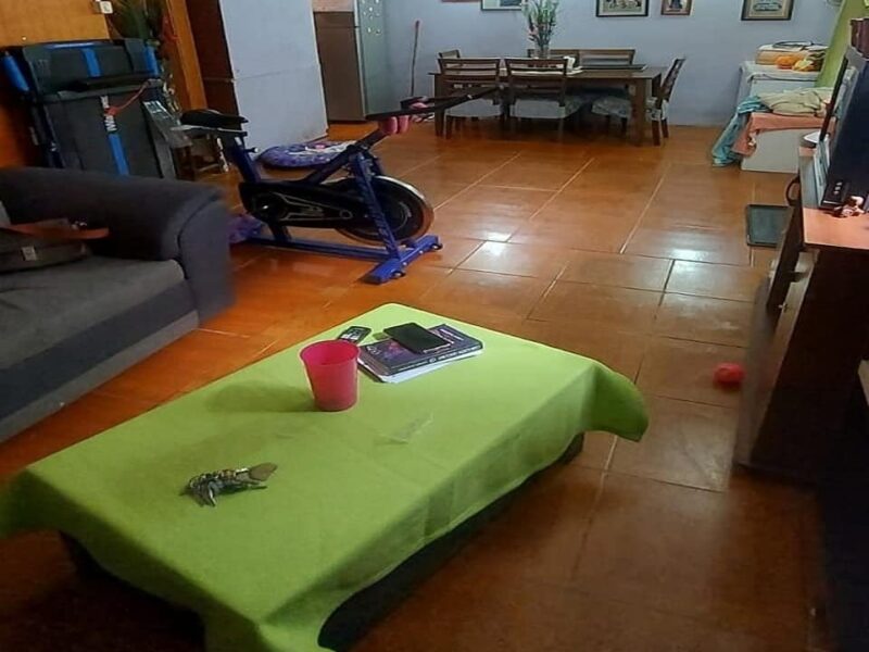 Departamento - Paseo Gronhert PAC